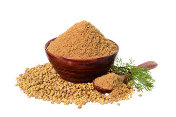 Coriander